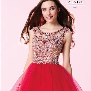 Alyce Paris Evening Dress